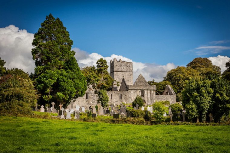43 Killarney, Abdij van Muckross.jpg